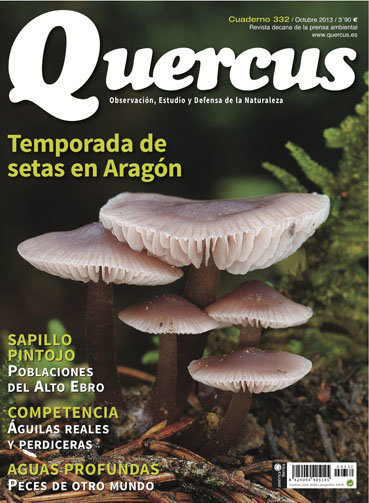 Portada Quercus nº 332 / Octubre 2013