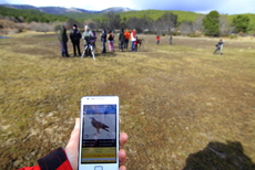 Un aficionado utiliza la app de las aves de España durante una salida ornitológica (foto: SEO/BirdLife).