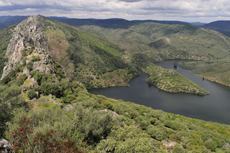 Tramo embalsado del río Tajo a su paso por el Parque Nacional de Monfragüe (Cáceres), en el punto en el que recibe las aguas del arroyo de Barbaón (foto: Juan Pablo Prieto).