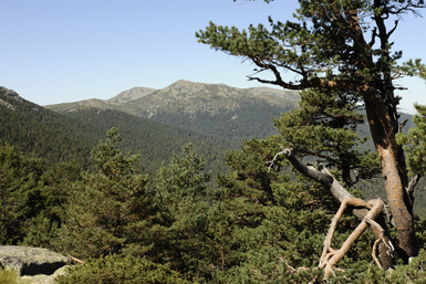 Panorámica del Parque Nacional de la Sierra de Guadarrama (foto: José María Pérez de Ayala / Ceneam).