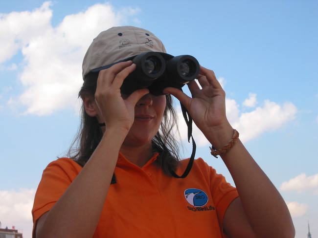 Una ornitóloga observa aves con sus binoculares (foto: SEO/BirdLife).