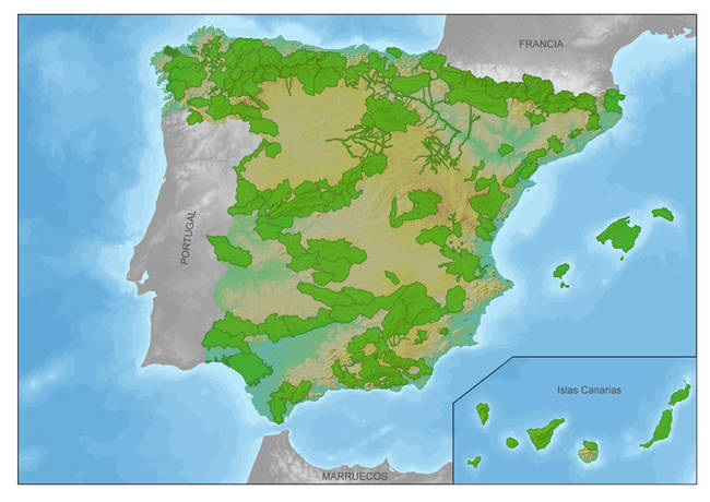 Mapa de España con la localización de las Zonas Importantes para los Mamíferos (ZIM), en color verde.