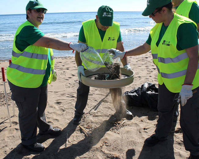 Varios voluntarios examinan los residuos recogidos en una playa (foto: Magrama).