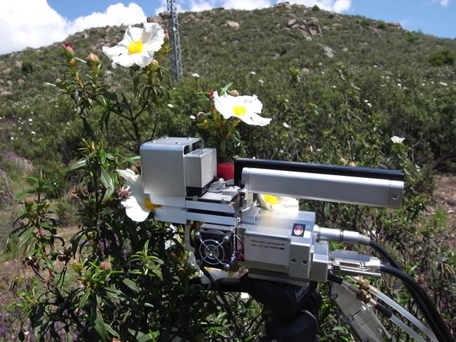 Analizador de gases infrarrojo para medir el intercambio gaseoso en las hojas de las jaras (foto: autores).