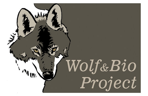 Lobo ibérico: las jornadas Wolf&Bio vuelven a Riaño