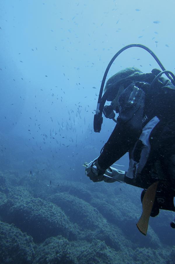 Un buceador recopila información sobre especies marinas en el Mediterráneo (foto: Mar Otero / UICN-Med).
