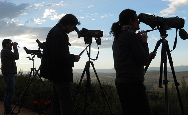 Naturalistas durante una espera de lobo en la sierra de La Culebra (Zamora). Foto: Javier Talegón.