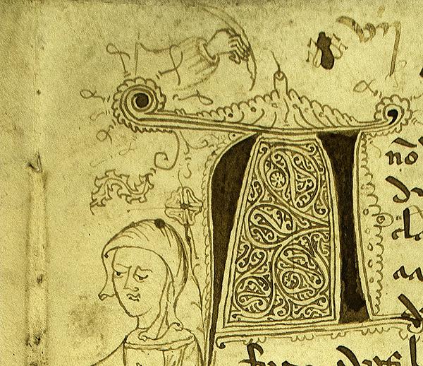 Arriba a la derecha, detalle de una de las moscas que aparecen en un códice medieval (foto: Archivo Histórico Diocesano de Santiago).