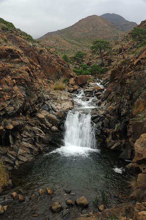 Los ríos de Sierra Bermeja presentan un estado de conservación excepcional (foto: José Aragón).