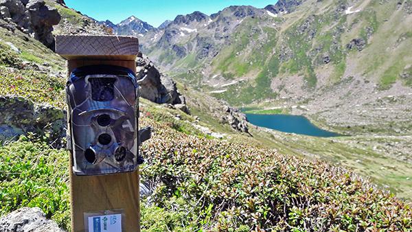 Cámara de fototrampeo cerca de uno de los lagos de Tristaina, en el Pirineo de Andorra.