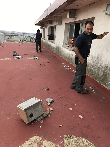 Miembros de Grefa revisan los daños causados por actos vandálicos en la colonia de cernícalo primilla existente en el silo de Navalcarnero (Madrid) en una de las terrazas del edificio. En el suelo se aprecian algunos nidales destrozados (foto: Grefa).

