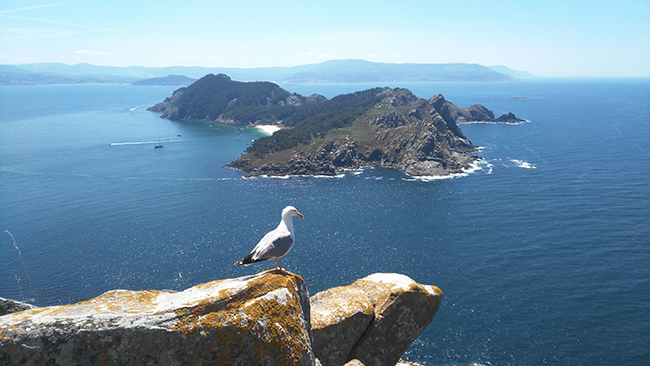 Panorámica de las islas Cíes, integradas en el Parque Nacional de las Islas Atlánticas (foto: Banjo / Wikicommons).

