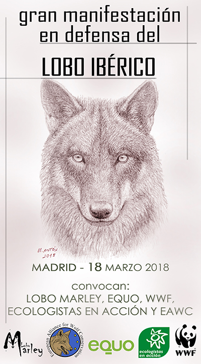 18 de marzo: de nuevo a la calle en defensa del lobo ibérico