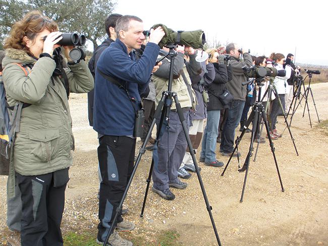 Un grupo de observadores de aves practica su afición en las Vegas del Guadiana (Extremadura). Foto: José Antonio Montero.