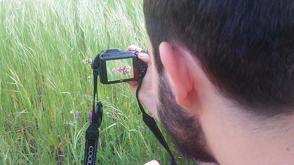 Un participante en un testing de Biodiversidad Virtual fotografía a una mariposa de la especie Zerynthia rumina. (foto: José Pascual).

