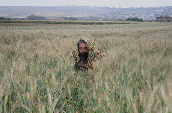 David González, uno de los integrantes de la “Operación Torillo”, en un trigal marroquí en busca de avistamientos o indicios de torillo andaluz (foto: Arturo Valledor de Lozoya).

