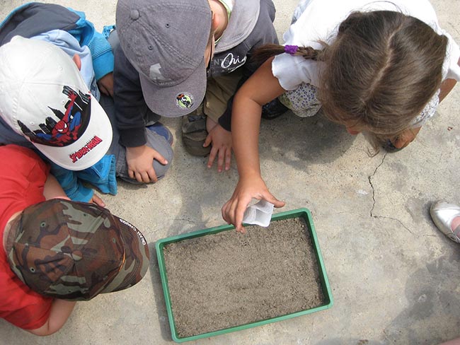 Un grupo de niños participa en una actividad de educación ambiental (foto: Pixabay).


