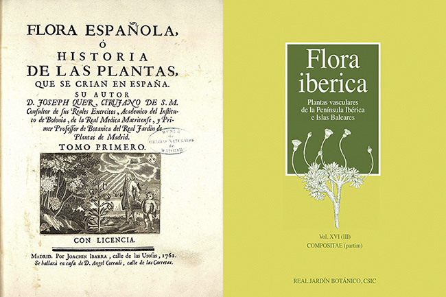 Frontispicio del primer tomo de la Flora Española de José Quer, publicado en 1762, y portada del último volumen de Flora iberica publicado hasta el momento, con el que se completa la familia de las Compuestas, la más rica en géneros y especies de la obra.

