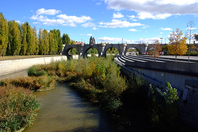 Aspecto del Manzanares a su paso por Madrid capital, aguas arriba del Puente de Toledo, más de dos años después (noviembre de 2018) del inicio del plan de renaturalización del río (foto: Rafael Ruiz).

