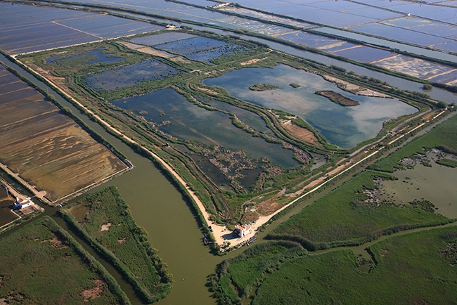 Vista aérea del Tancat de la Pipa, en la orilla norte de la laguna de la Albufera (foto: Servei Devesa-Albufera / Ajuntament de València).

