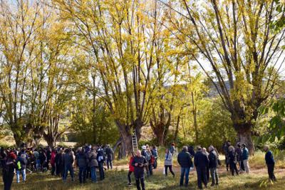 Participantes en la Fiesta del Chopo Cabecero celebrada en Berge (Teruel) en el otoño de 2019.