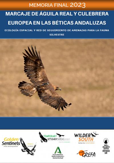 Seguimiento con GPS en 2023 de águilas reales y culebreras en Andalucía