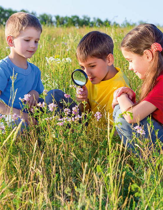 Varios niños observan las flores de una planta (foto: sbworld8 / 123rf).
