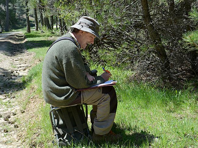 Carlos Herrera trabaja en un censo de polinizadores en el Parque Natural de la Sierra de Cazorla, en la primavera de 2020 (foto: Mónica Medrano).