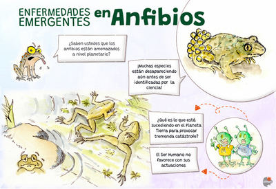 Primera página del e-book sobre enfermedades emergentes de anfibios.