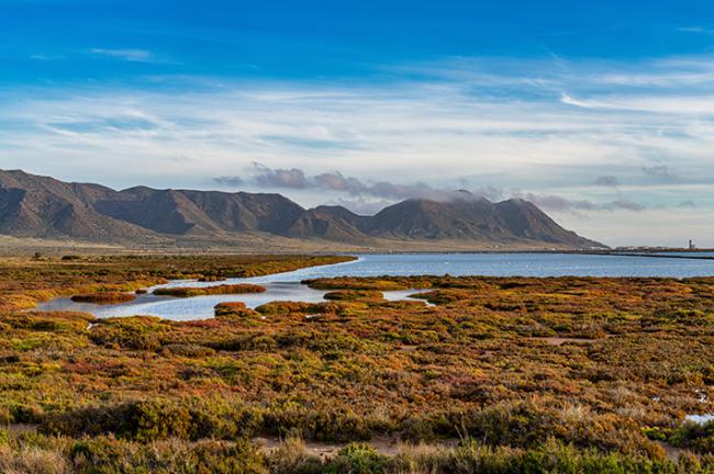 Paisaje del Parque Natural del Cabo de Gata (Almería). Foto: rudiernst / Adobe Stock.