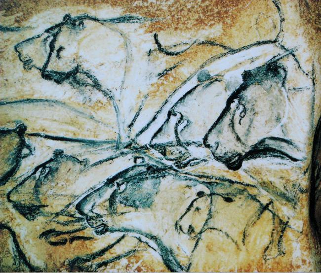 Leones pintados en la cueva de Chauvet (Francia) hace entre 36.000 y 30.000 años (foto: Wikimedia Commons).