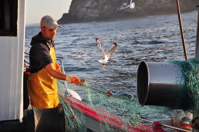 Actividad pesquera en las aguas del Parque Nacional Illas Atlánticas de Galicia, durante uno de los embarques de los observadores del proyecto Virada (foto: Cemma).