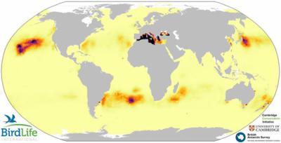 Mapa de solapamiento entre distribución de plásticos y de petreles y pardelas a nivel global, indicando las zonas de mayor riesgo, entre las que destaca el Mediterráneo.