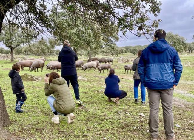 Actividad relacionada con el ecosistema de la dehesa en una edición anterior del Mes de la Reserva de la Biosfera (foto: Diputación de Cáceres).