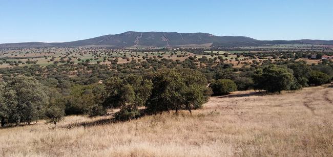Panorámica de un sector del Campo de Montiel (Ciudad Real) que podría haber sido afectado por la minería de tierras raras (foto: José Guzmán).