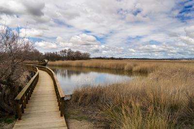 Pasarela en el sector visitable del Parque Nacional de las Tablas de Daimiel (foto: josemagomez / Adobe Stock).