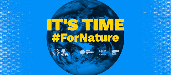 TRIBUNA: La AEEA ante el Día Mundial del Medio Ambiente