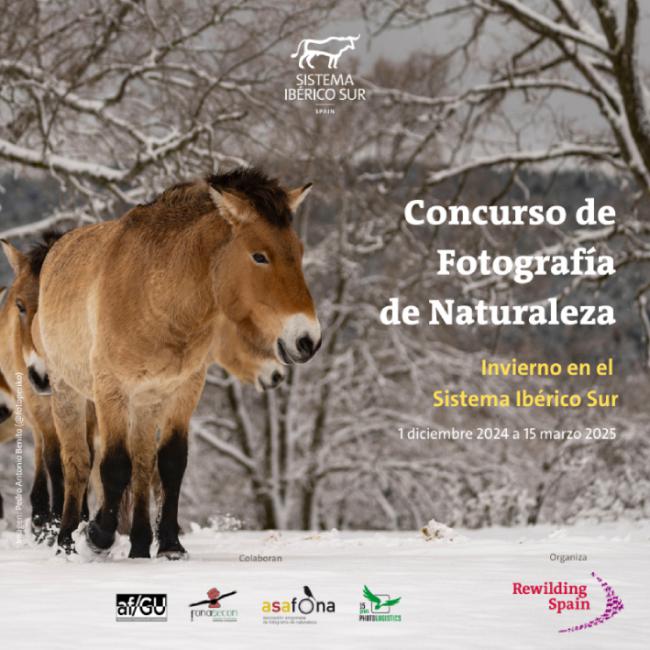 Premio de fotografía para documentar la naturaleza en invierno