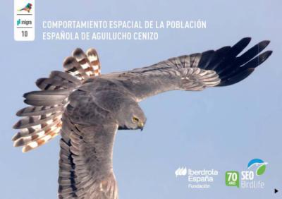 Una nueva monografía dedicada al aguilucho cenizo en España