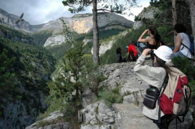 Recreación fotográfica de un grupo de ecoturistas observando un quebrantahuesos en Pirineos (foto: FCQ).