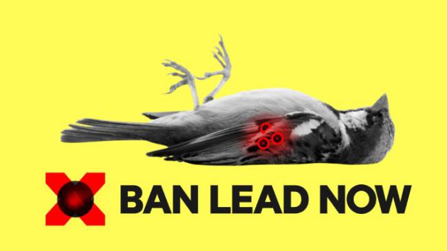 Banner de la campaña Ban Lead Now.