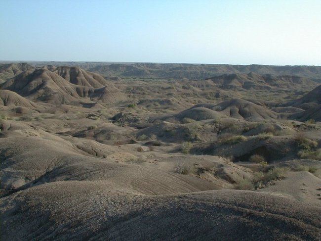 Vista de la región de Hadar, donde se descubrió a Lucy, desde el límite de Gona con el río Awash (Etiopía). Foto: Manuel Domínguez-Rodrigo.