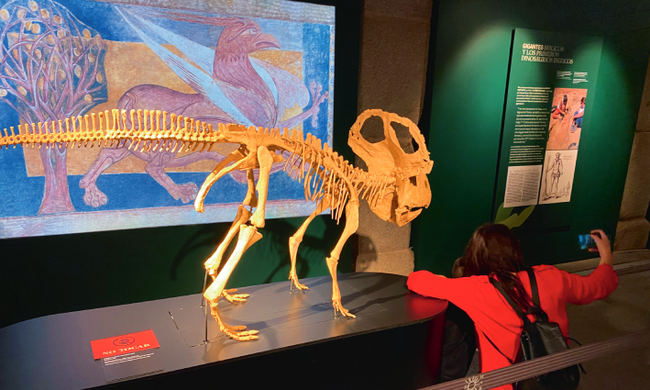 Una muestra de la atracción suscitada por la réplica de Protoceratops entre los visitantes de la exposición "Cazadores de Dragones" (foto: Luis Alcalá y Enrique Baquedano).