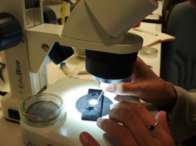 Colocacio?n de muestras para el estudio de microplásticos con un microscopio acoplado a un espectómetro FTIR en el laboratorio de la Universidad de Alcalá (foto: GREFA).