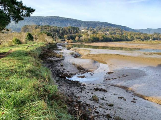 Panorámica de Urdaibai en la zona media del estuario, en marea baja  (foto: Fundación Lurgaia).