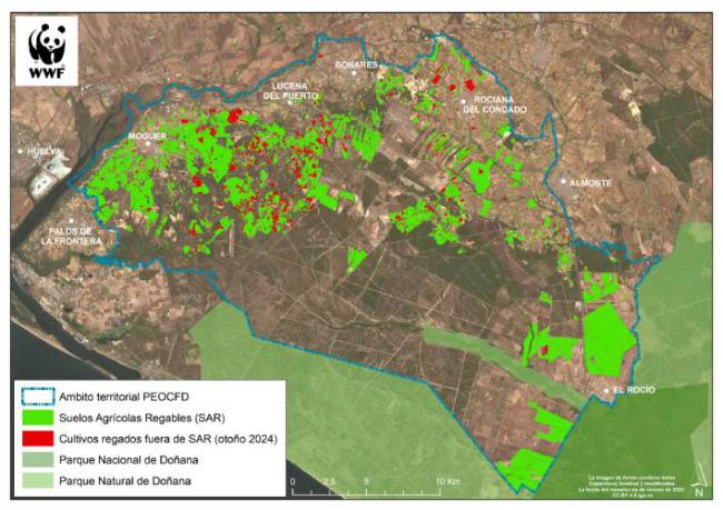 Mapa satélite de la superficie cultivada en el entorno de Doñana en otoño de 2024. Las manchas rojas corresponden a cultivos ilegales.