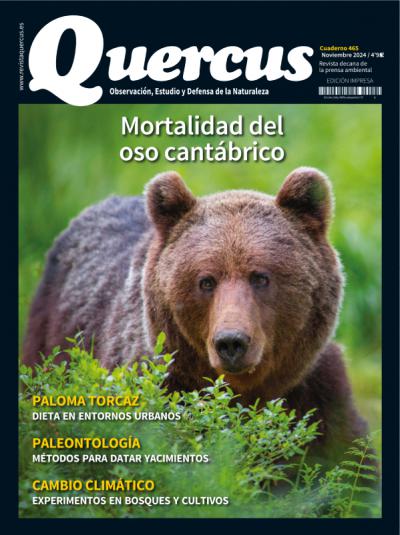 Sumario Quercus 465 / Noviembre 2024