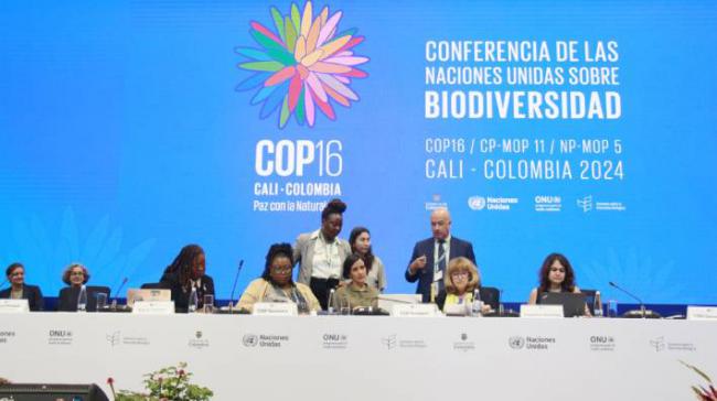 Una de las sesiones del COP16, celebrado en Cali (Colombia) entre los pasados 21 de octubre y 1 de noviembre (foto: Convenio sobre la Biodiversidad Biológica).