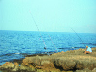 La pesca recreativa en el litoral de Mallorca