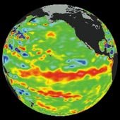 Efectos de El Niño en los ecosistemas costeros